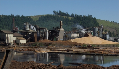 Saw-mills has often also kiln and drying facilities.